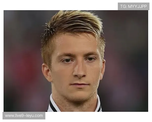 罗伊斯：德国中场核心，重返巅峰之路